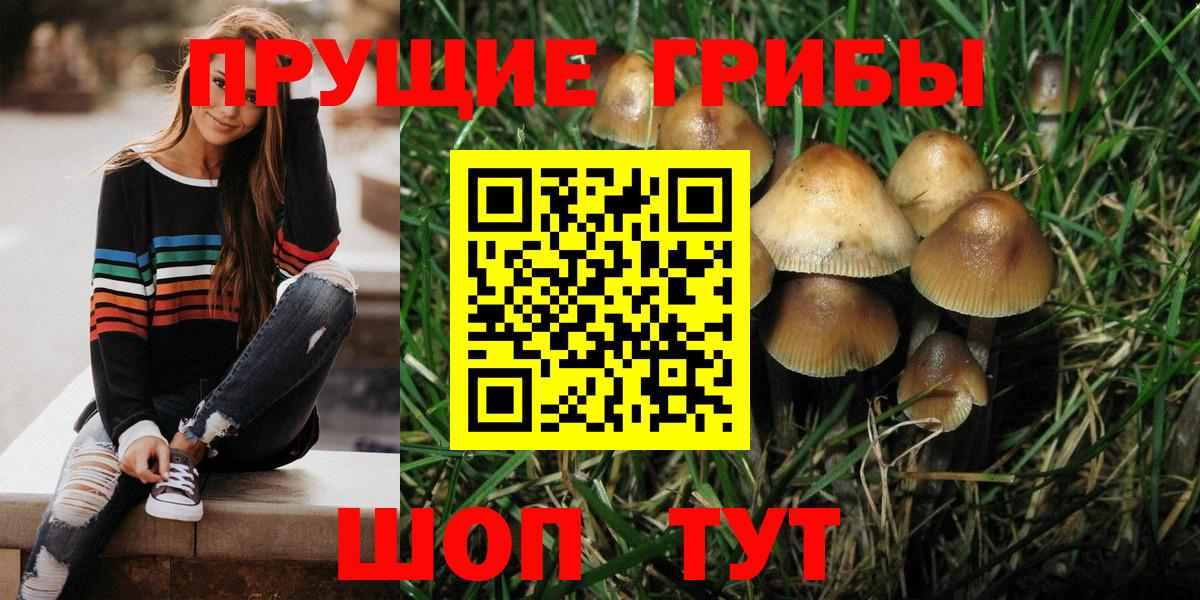 Ахтубинск  Галлюциногенные грибы MAGIC MUSHROOMS  наркошоп  Вход с VPN  Псилоцибиновые грибы MAGIC MUSHROOMS 