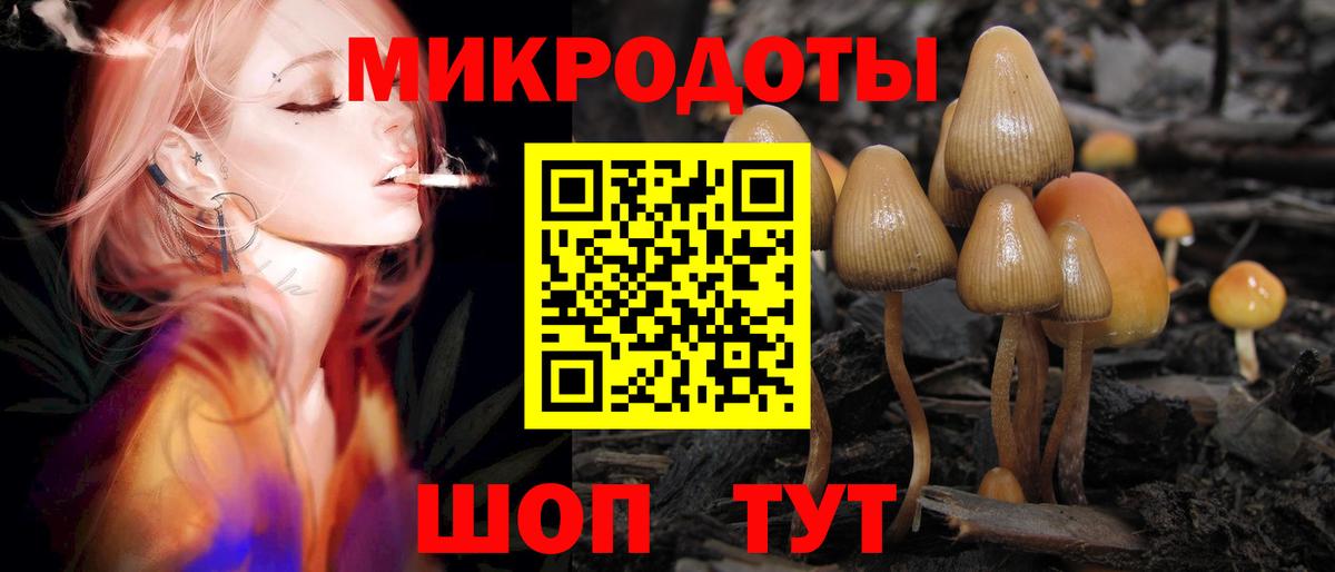Псилоцибиновые грибы Magic Shrooms Ахтубинск